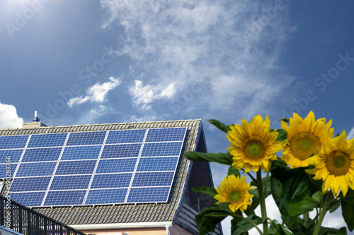 rooftop with solar panels and sunflowers