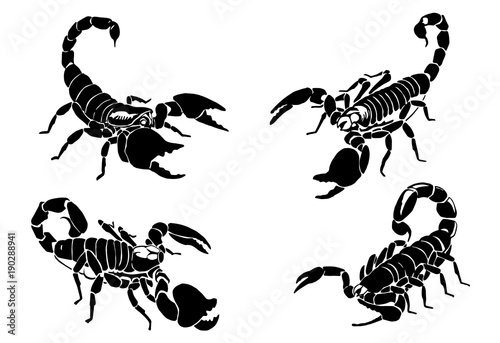 Graphical set of  scorpions isolated on white background,vector illustration for tattoo and printing
