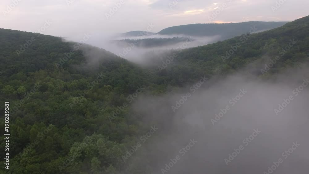 Tropical rainforest with misty forest fog, aerial view. Tropical rainforest with misty forest fog, aerial view.