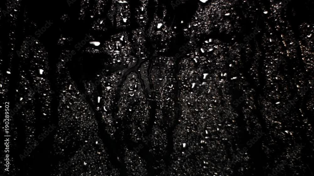 Rain on the Window. 