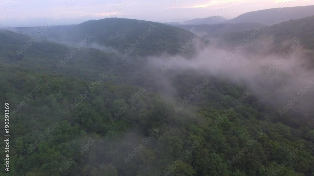 Tropical rainforest with misty forest fog, aerial view.