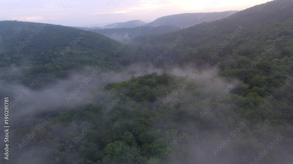 Tropical rainforest with misty forest fog, aerial view. Tropical rainforest with misty forest fog, aerial view.