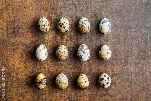 Fresh guail eggs.