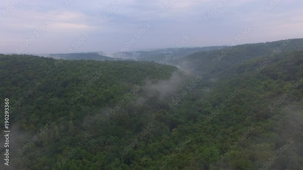 Tropical rainforest with misty forest fog, aerial view. 