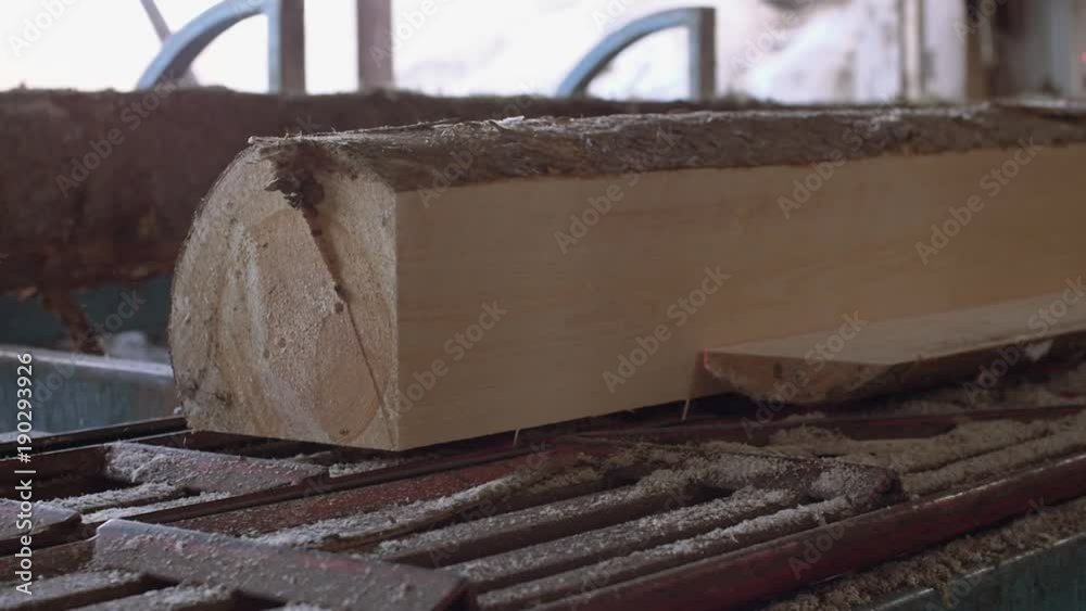 Lumber log riding on workbench at sawmill factory, sunny day outside, lots of sawdust, slow motion Lumber log riding on workbench at sawmill factory, sunny day outside, lots of sawdust, slow motion