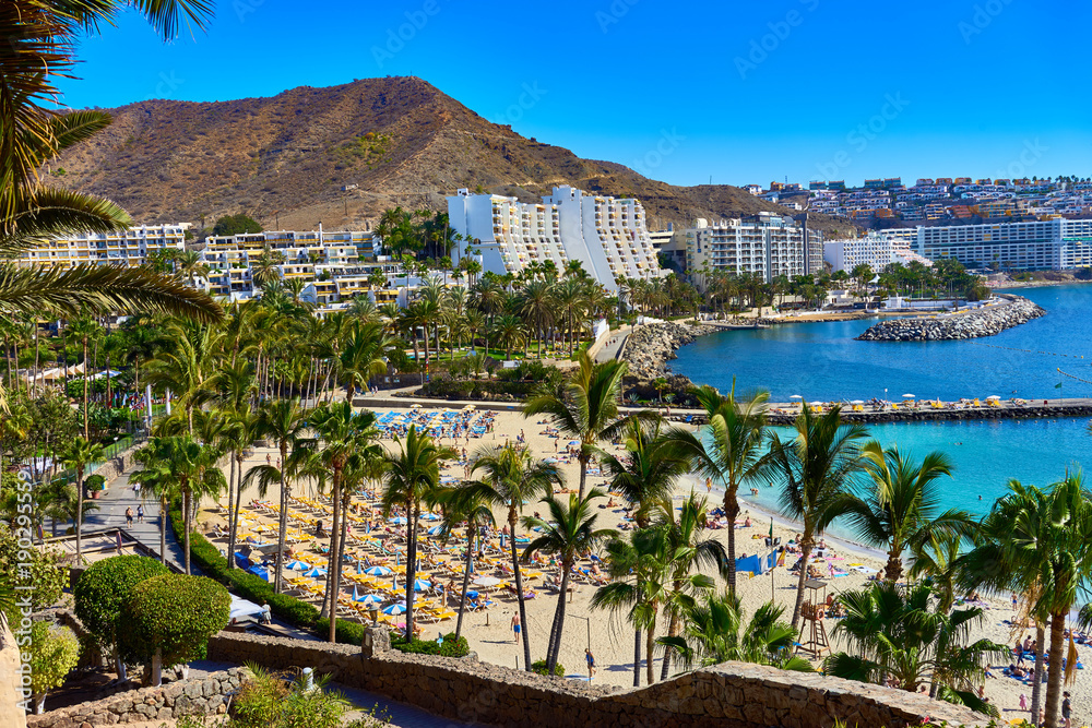Anfi beach with palm trees / Island of Gran Canaria, Spain