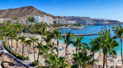 Anfi beach with palm trees / Island of Gran Canaria, Spain photo