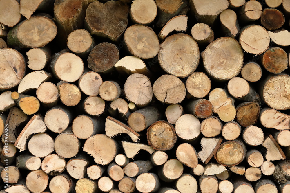 Cut fresh wood for furnace heating Cut fresh wood for furnace heating
