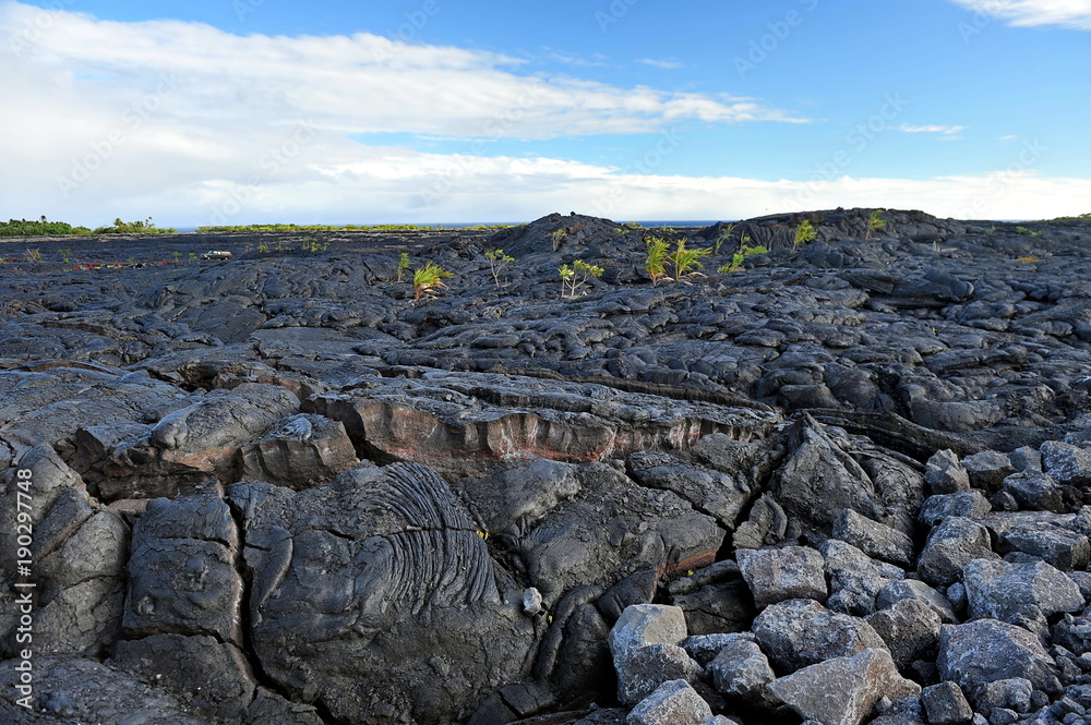 Hardened lava in the vicinity of the Hawaiian volcano Kilauea Hardened lava in the vicinity of the Hawaiian volcano Kilauea