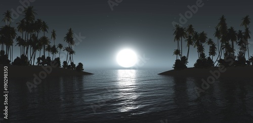 Moon over a tropical island, panorama of a night landscape in the tropics with palm trees, water and the moon