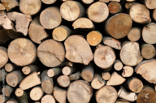 Firewood for autumn and winter
