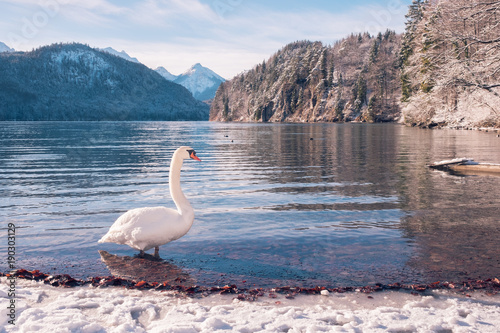 Fototapeta Naklejka Na Ścianę i Meble -  Alpsee in Füssen