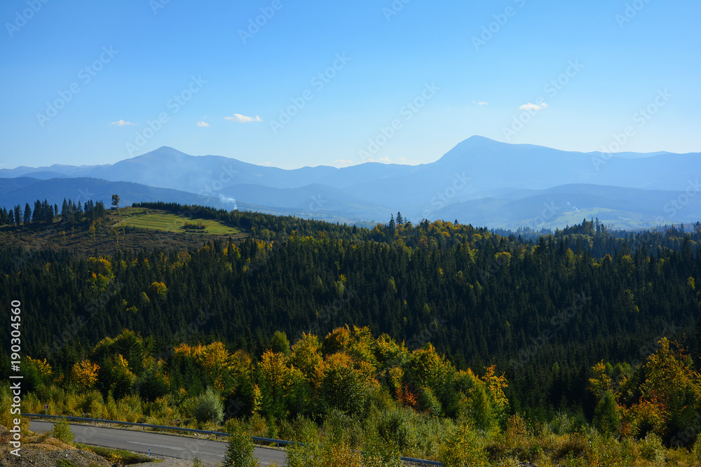 Fototapeta premium View of the mountains of Hoverla and Petros, Chornohirskyi ridge, Carpathian Mountains, coniferous forest.