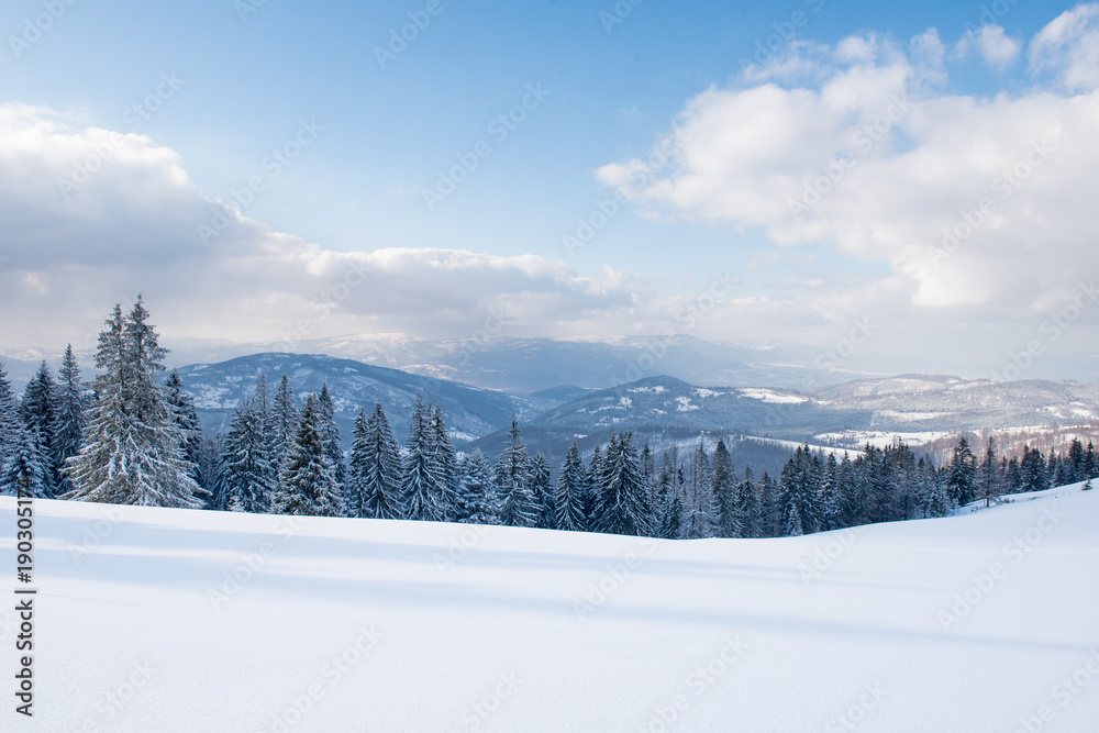 Obraz premium Winter mountains whith white hills, trees, blue sky whith clouds