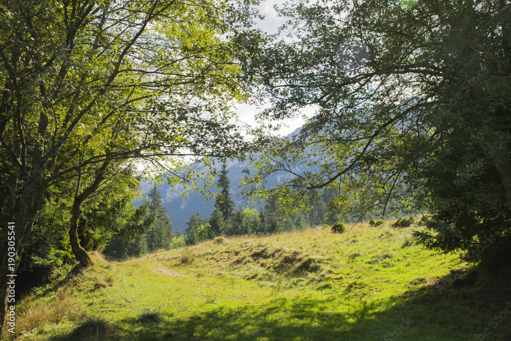 Fototapeta premium Sunny day in nature - mountain landscape