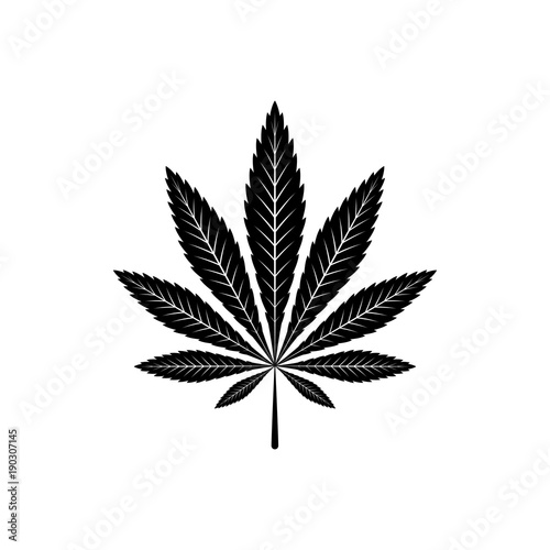 cannabis vector icon