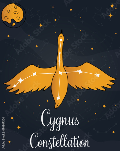 The constellation Cygnus star in the night sky