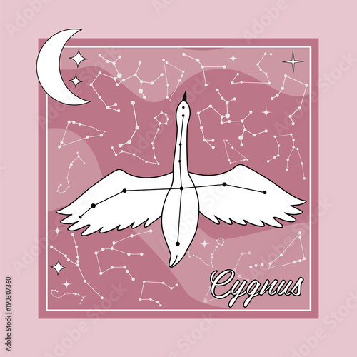 The constellation Cygnus star in the night sky