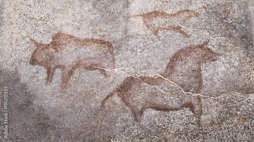 drawings in a cave of ancient animals. Stone Age. Archeology. ancient man