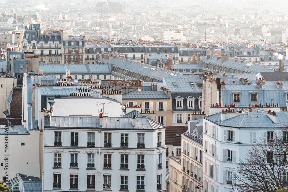 Streets and Buildings of Paris, France