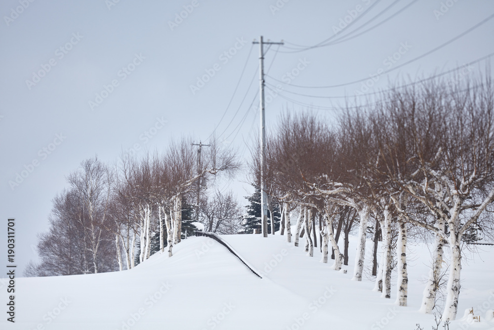 Snow covered road with utility pole in winter Snow covered road with utility pole in winter