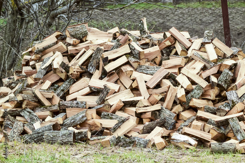 A pile of punctured firewood. Harvested wood for the stove.