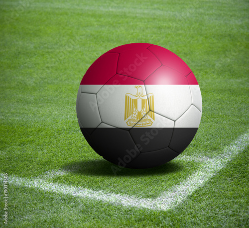 Soccer ball ball with the national flag of EGYPT ball with stadium  