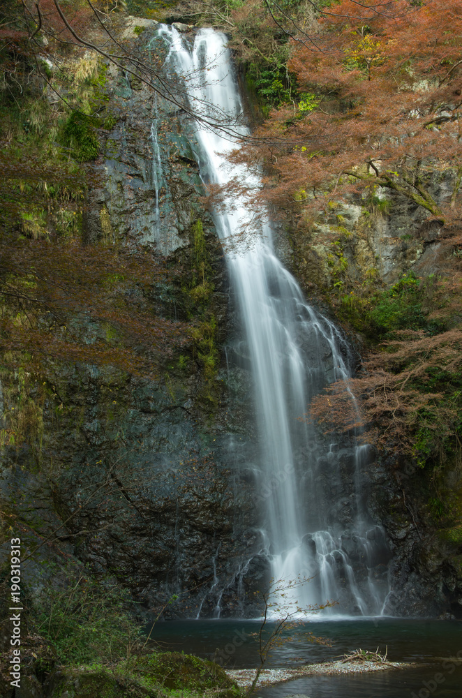 Fototapeta premium 秋・箕面大滝