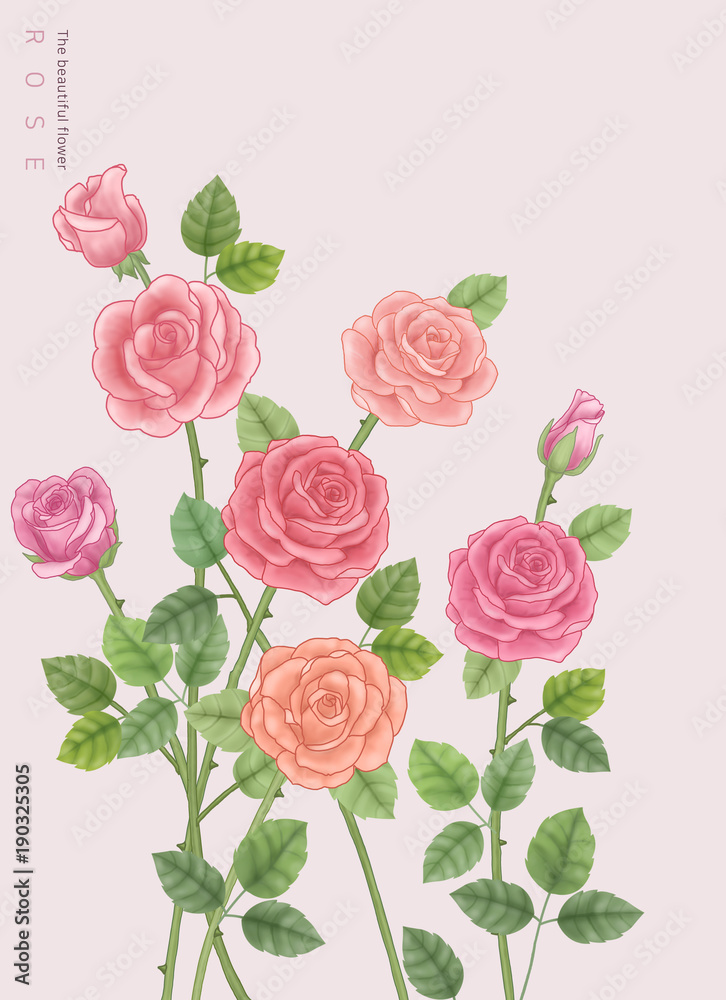 flower graphic & illustration