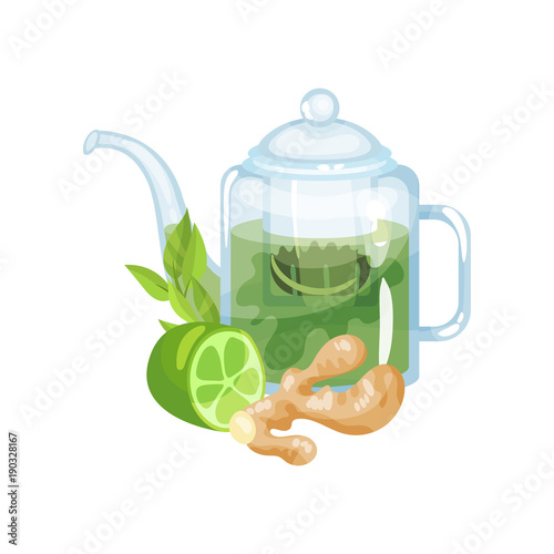 Natural green herbal tea in a glass transparent teapot with fresh lime and ginger vector Illustration