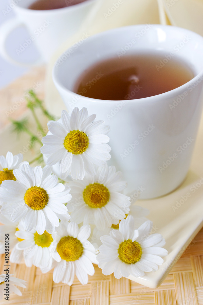 homemade remedy - herbal camomile tea (matricaria chamomilla) - health care and medical treatment homemade remedy - herbal camomile tea (matricaria chamomilla) - health care and medical treatment