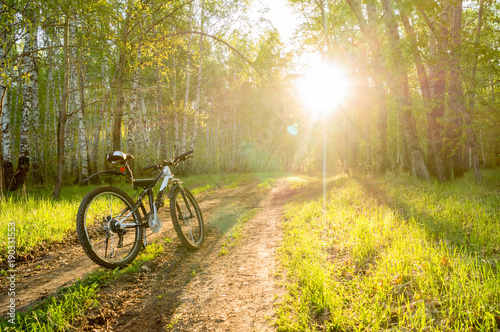 A modern bicycle in bright sunlight in the morning forest. Background in yellow and green colors on the theme of sport and active lifestyle.