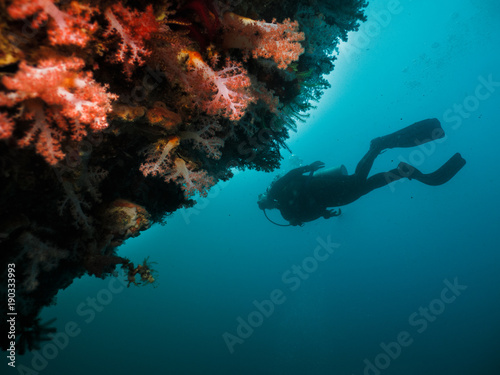 Scuba diver silhouette and coral reef