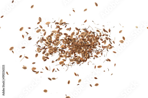 dill seed isolated on white background. top view