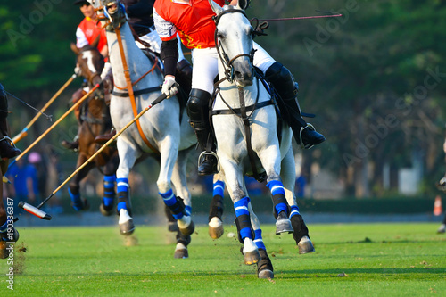 Horse Polo Player Playing in Match.