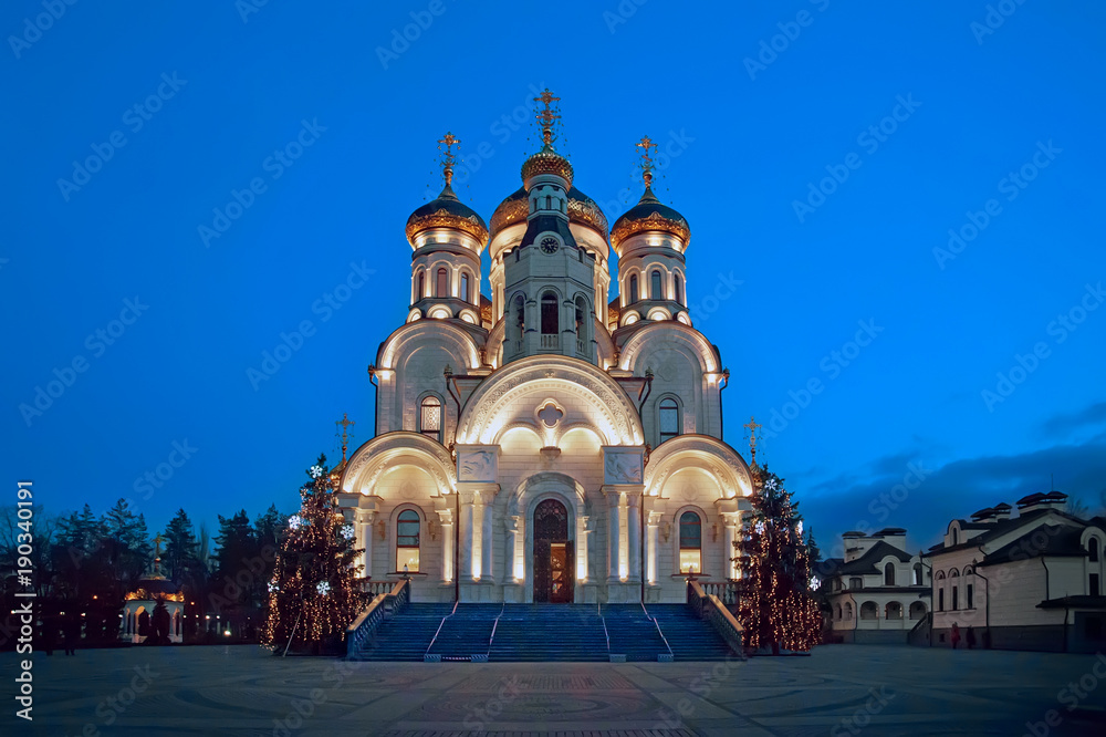 Orthodox Church - Epiphany Cathedral  in Gorlovka, Ukraine. Winter Christmas night with fir-trees.