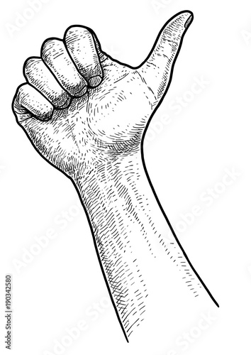 Hand illustration, drawing, engraving, ink, line art, vector