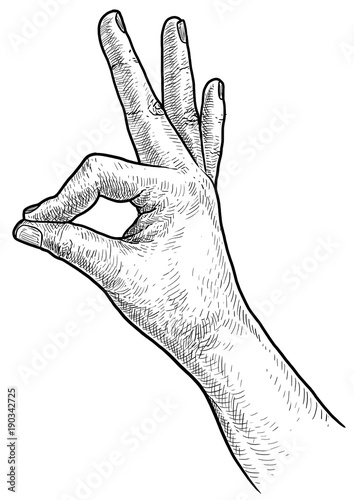 Hand ok sign illustration, drawing, engraving, ink, line art, vector