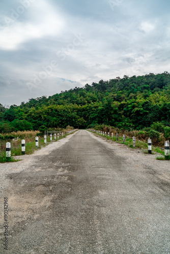 Asphalt road with green forest © santagig