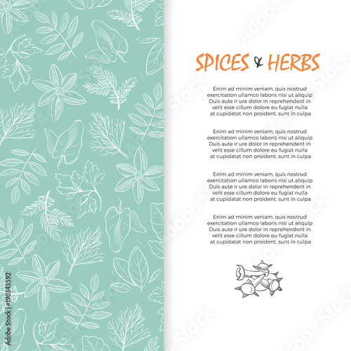 Spice and herbs banner - hand sketched culinary and medicine herbs background