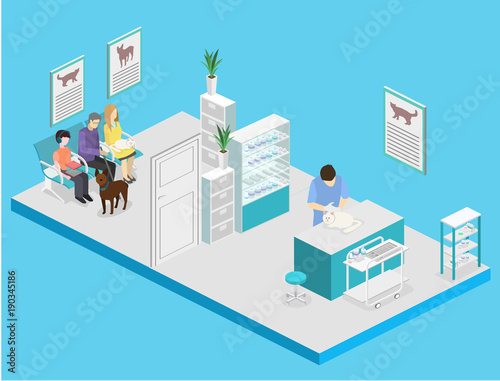 interior of veterinary clinic. The veterinarian treats the pet