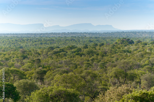 Kruger National Park, Mpumalanga, South Africa