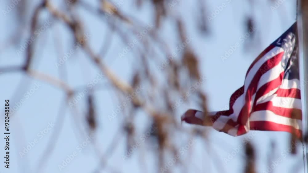 An American flag flies in the wind through dormant tree branches on a sunny winter day.