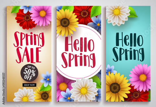 Spring sale and hello spring vector poster set designs with colorful background templates and various daisy flowers for spring season discount promotion and greeting cards. Vector illustration.
