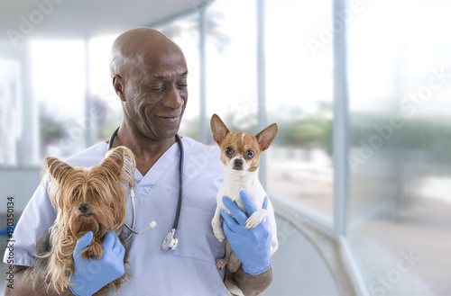 Veterinarian and cute pets on a luxery pet hospital background photo