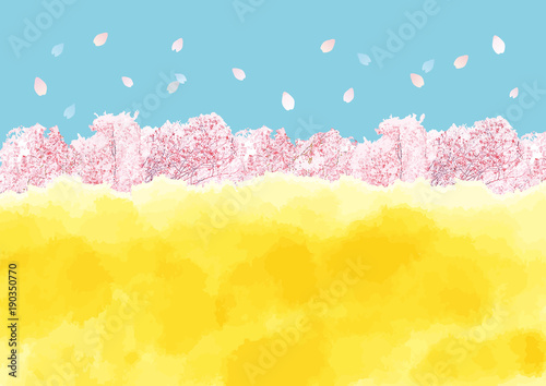 桜 菜の花