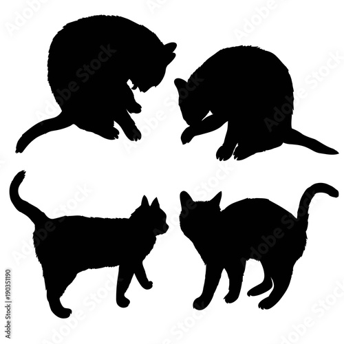 Black silhouette of cat sitting sideways isolated on white background. Vector illustration, icon, clip art. photo