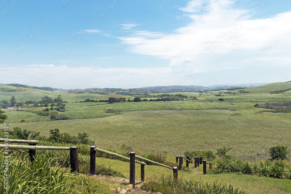 Wooden Pole Barrier Fence Walkway Sugar Cane Plantations Landscape