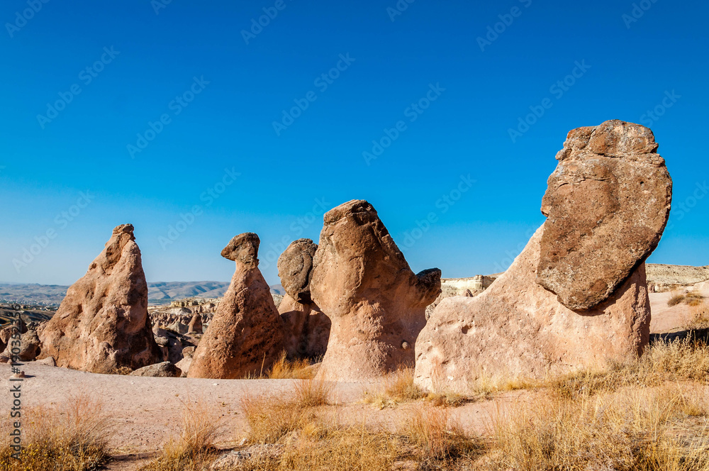 Landscape of natural rock formation Imagination or Devrent Valley, Cappadocia, Goreme, Turkey.
