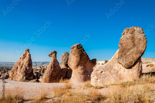 Landscape of natural rock formation Imagination or Devrent Valley, Cappadocia, Goreme, Turkey.